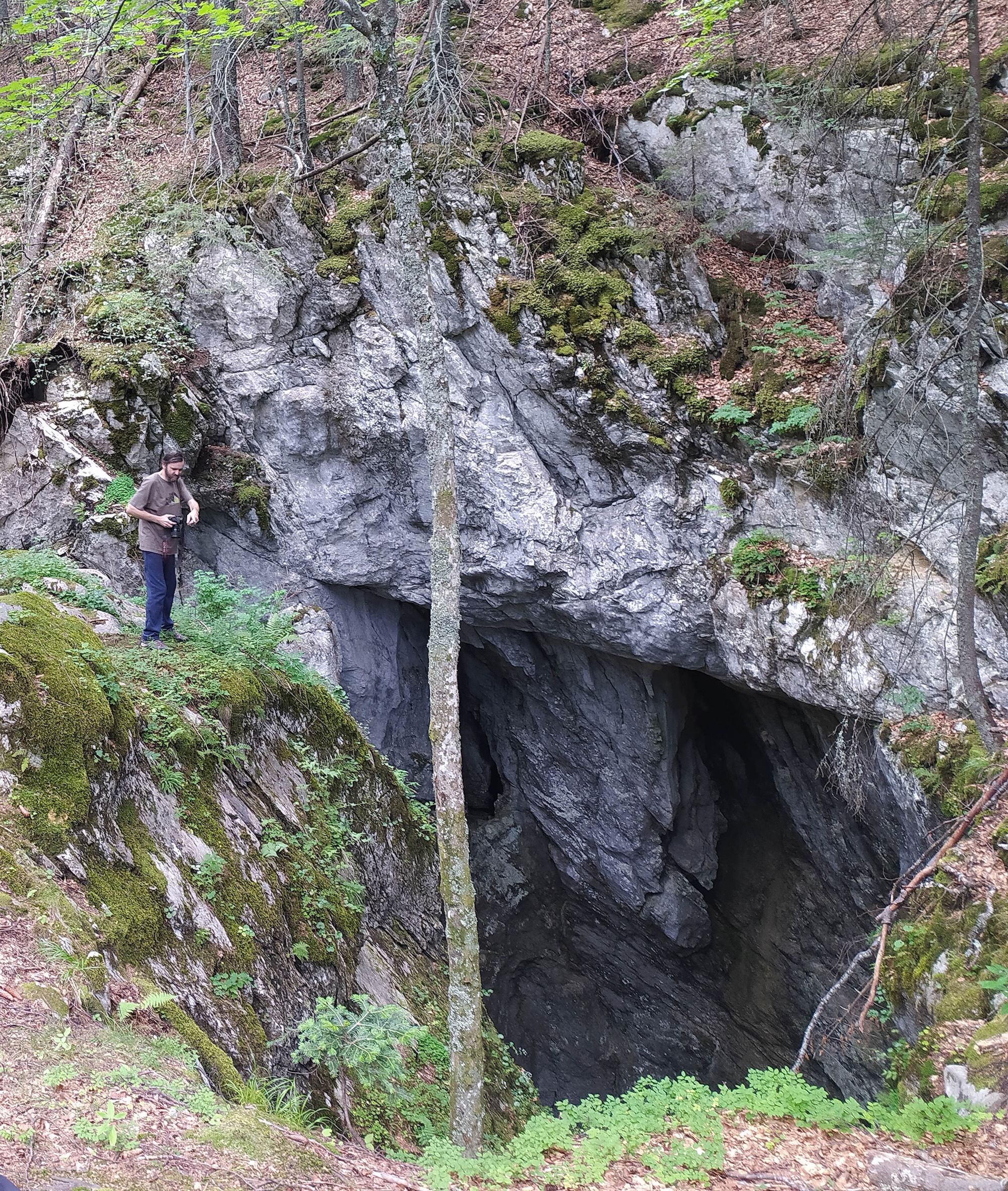 in Crovul Ratii zona finala 